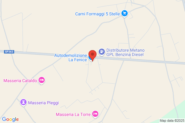 Autodemolizione La Fenice