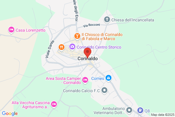 Elaborazioni CONTI