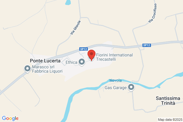 Fiorini International Italia Spa