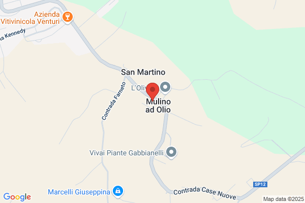 Moschini Vanni