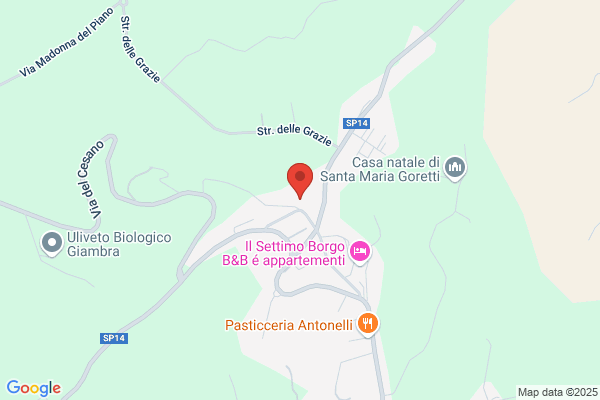 Volontarie Francescane Delle Vocazioni