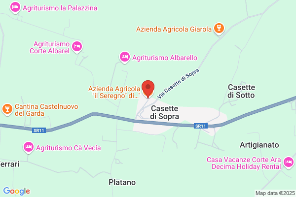 Lonardi maurizio