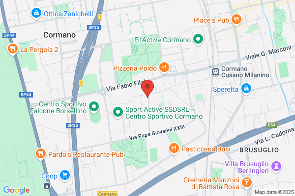 Partito Democratico Della Sinistra