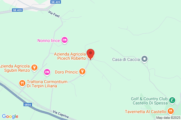 Piceni franco (Dr.)
