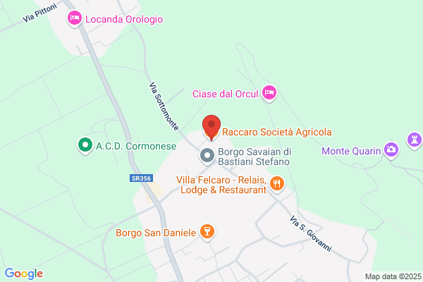 Raccaro dario