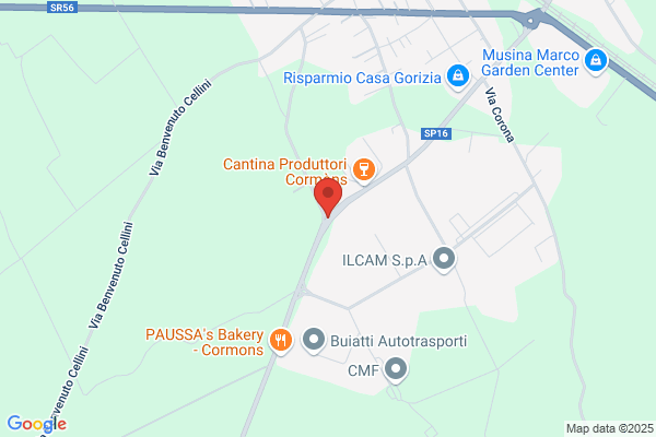 Godeas Alessandro (Dr.)