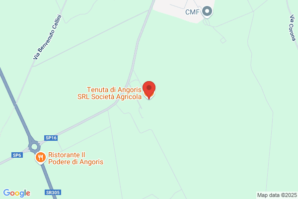 Tenuta Di Angoris (S.P.A.)