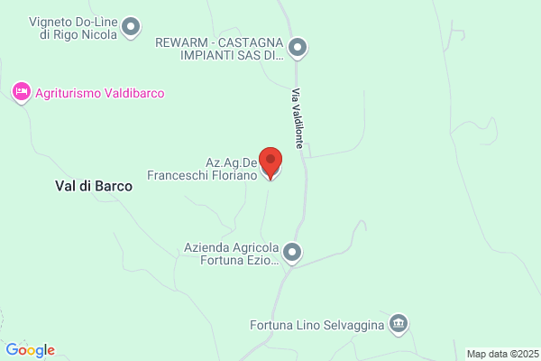 Franceschi Aldo