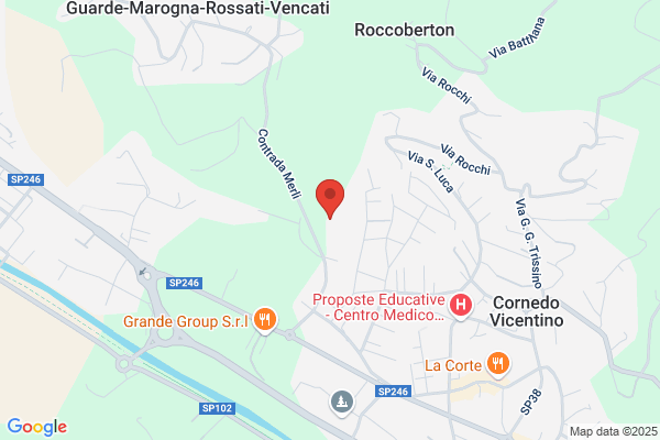 Castaman roberto