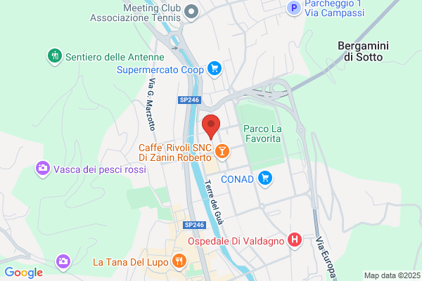 Reniero marco