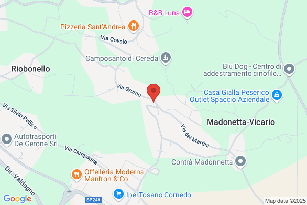 Pomini domenico