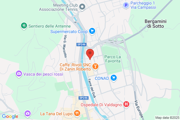 Lora liliana (Dr.)