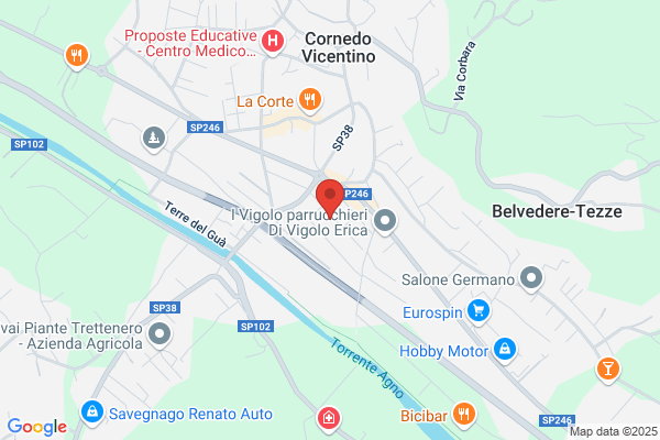 Zaupa tarcisio (Geom.)