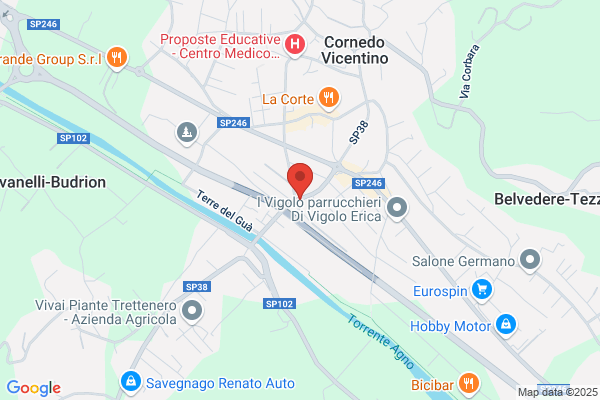 Gelateria Il Pinguino