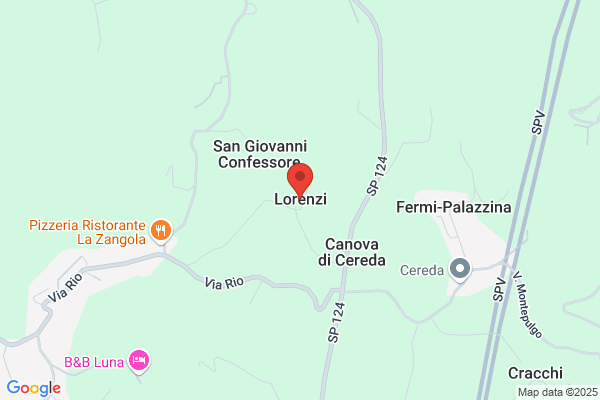 Lorenzi flavia