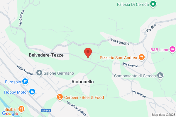 Veneto Distributori Di Savegnago G. & C. (S.N.C.)