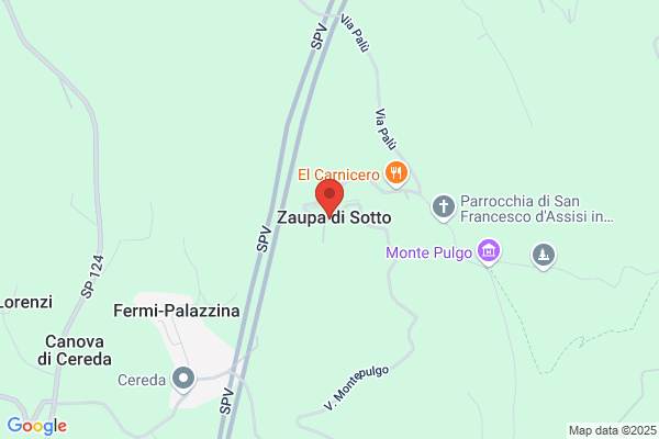 Zaupa renato