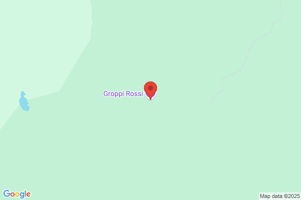 Groppi Walter