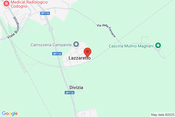 La Meccanica