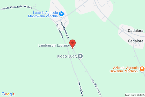 Lambri Luciano