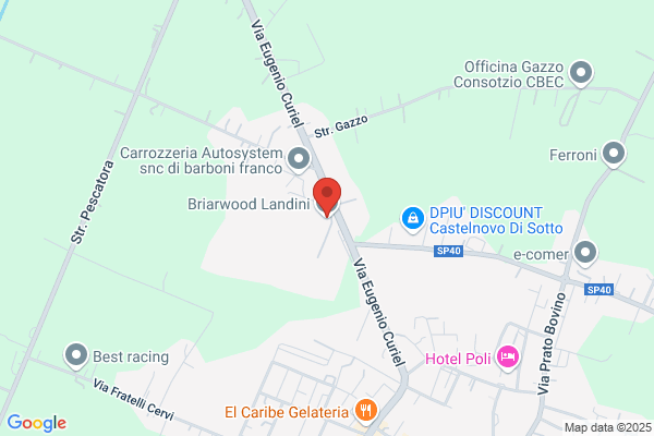 Landini (S.P.A.)