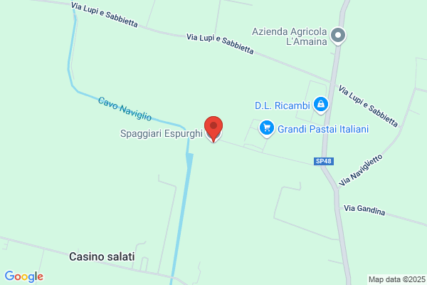 Spaggiari Forghieri loredana