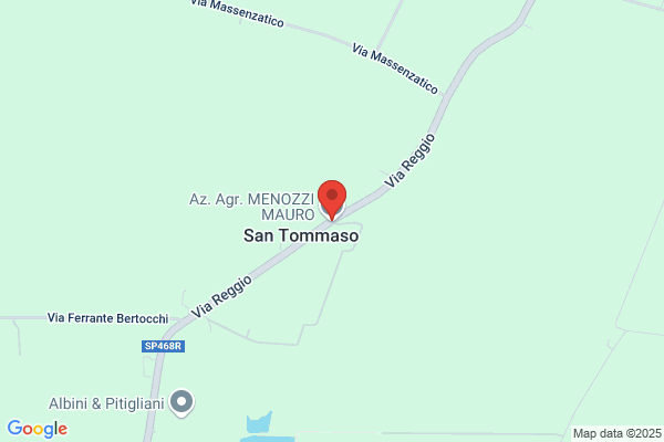 Menozzi sante