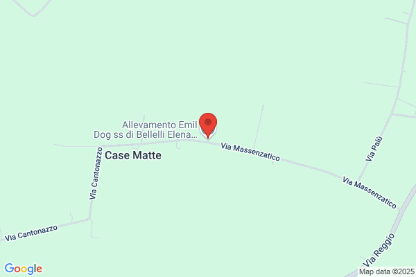 Allevamento Emildog