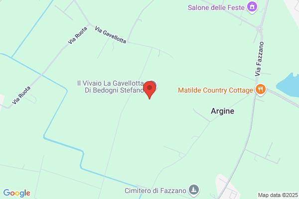 Angeli Di Bedogni Emilio