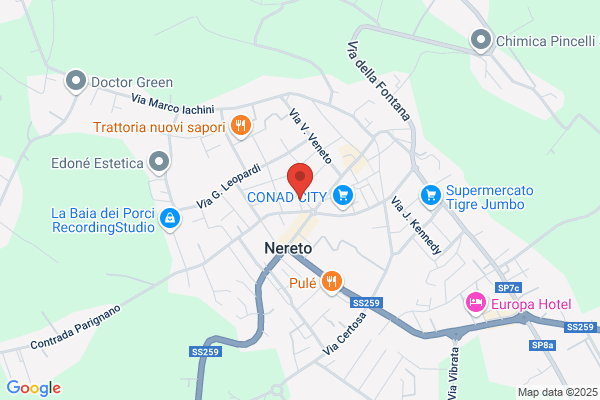 Cosev Servizi S.p.a.
