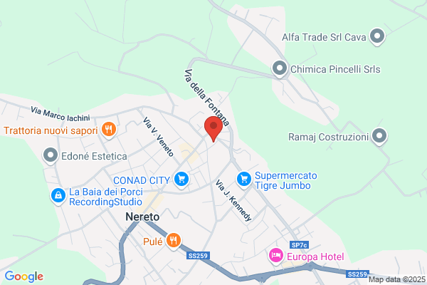 Baldini Avv. Patrizio Franceschini Dr.ssa M. Gabriella