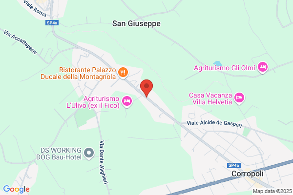 Sedima Srl