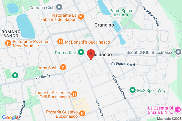 Immobiliare Principessa S.P.A.