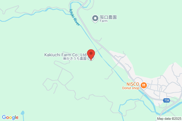 Kakiuchi Co. Ltd