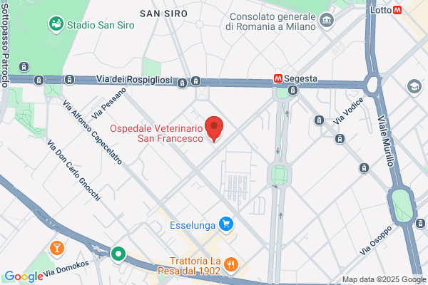 Clinica Veterinaria Papiniano
