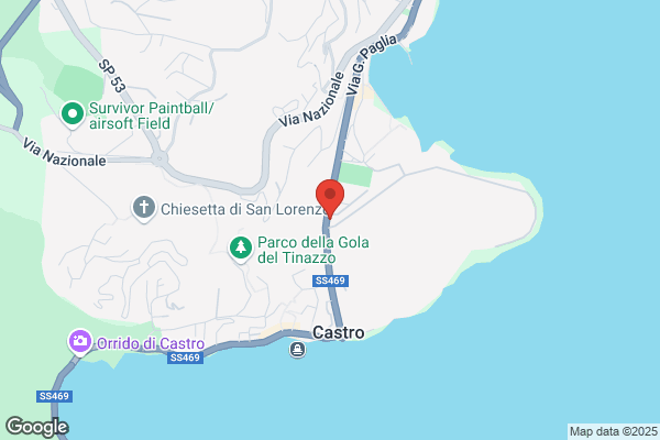 Lucchini liviana