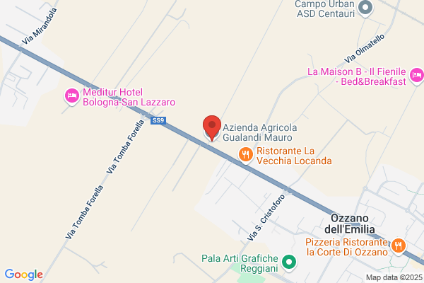 Gualandi Gilbert