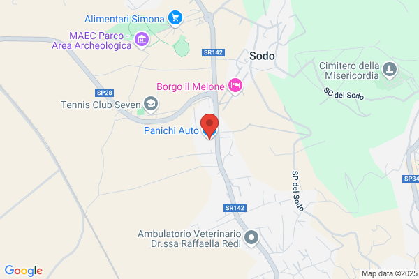 Panichi Auto Concessionaria - Autonoleggio