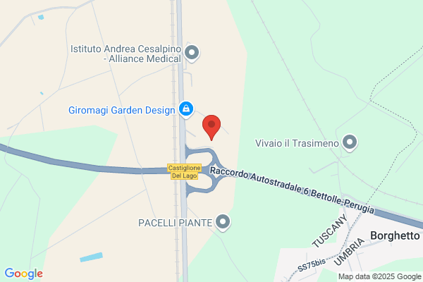 Gori Attilio