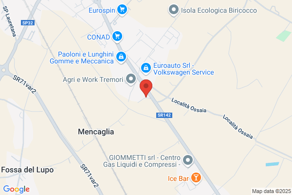 Monaldi felice