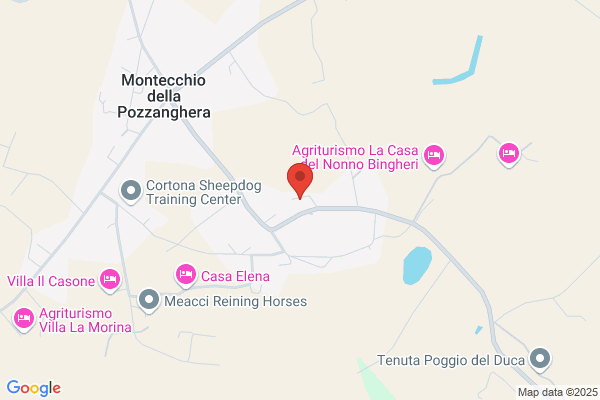 Liberatori gino