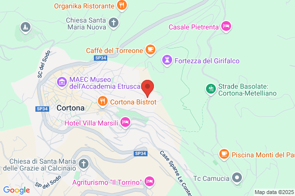 University Of Georgia Studies Abroad Program In cortona