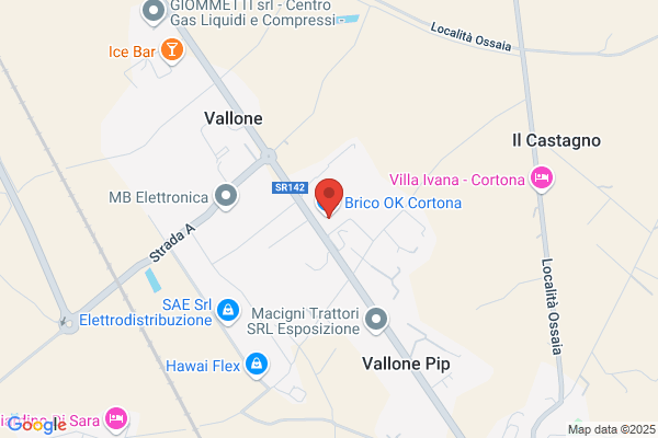Guarnieri Bruno