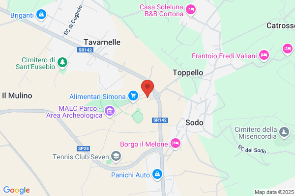 Modoli antonino