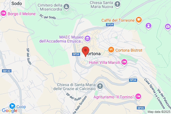 Cortonaweb Di Marcellini