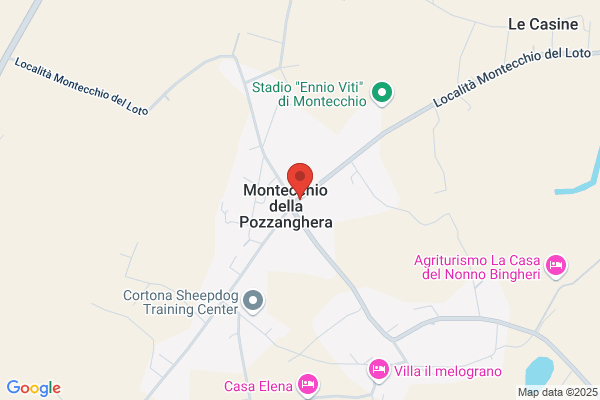 Stanganini ilio