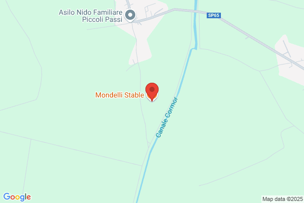 Mondelli Stable