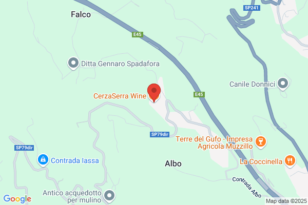 Serra vincenzo
