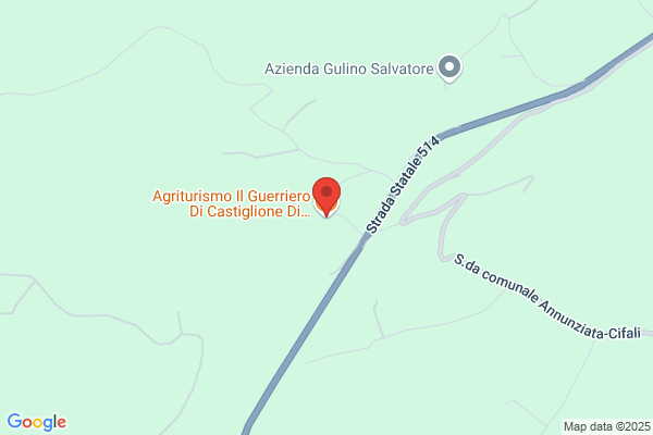 Castiglione vincenzo