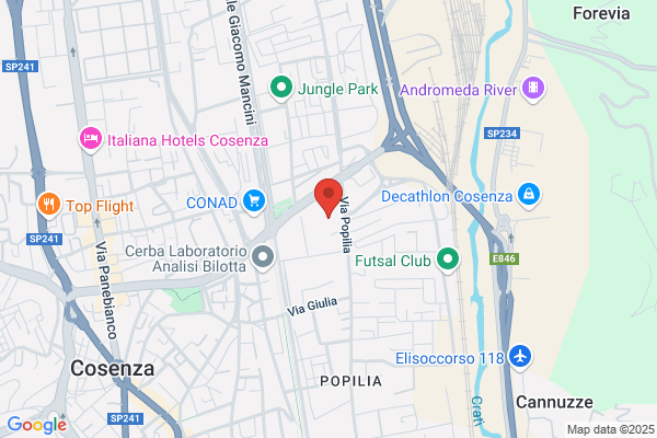 Istituto Tecnico Commerciale Pezzullo